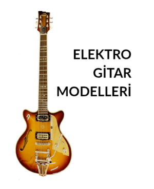 Elektro Gitar
