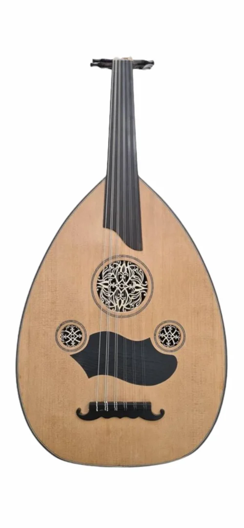 MST500 Akçaağaç Ud